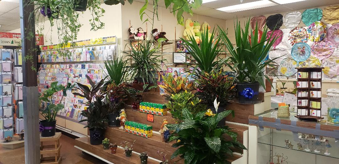 Plants, Cards, and Balloons in Silver City, NM |Silver City Food Basket - W&N Enterprises